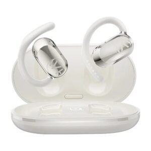 HAYLOU EARHOOK 1