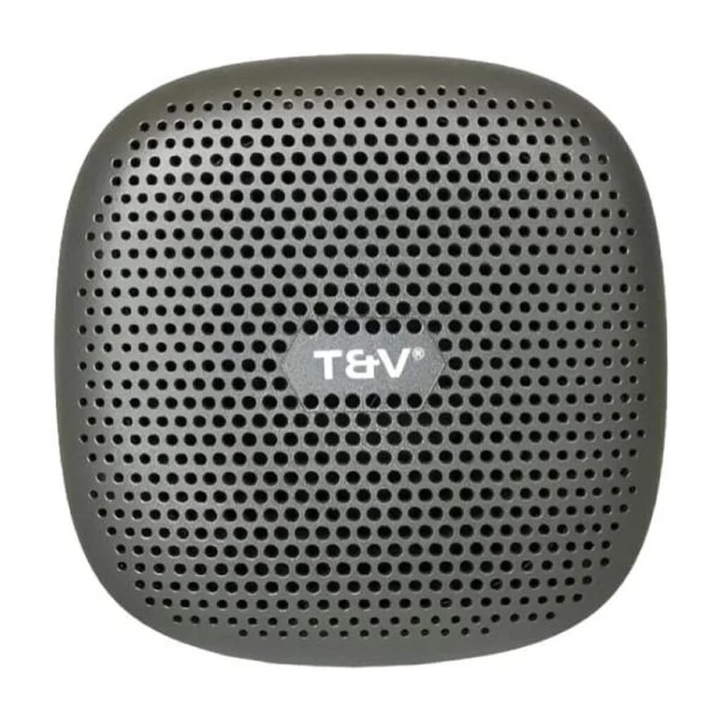 PARLANTE THONET & VANDER DUETT TWS 10W RMS – RADIO FM – GRIS