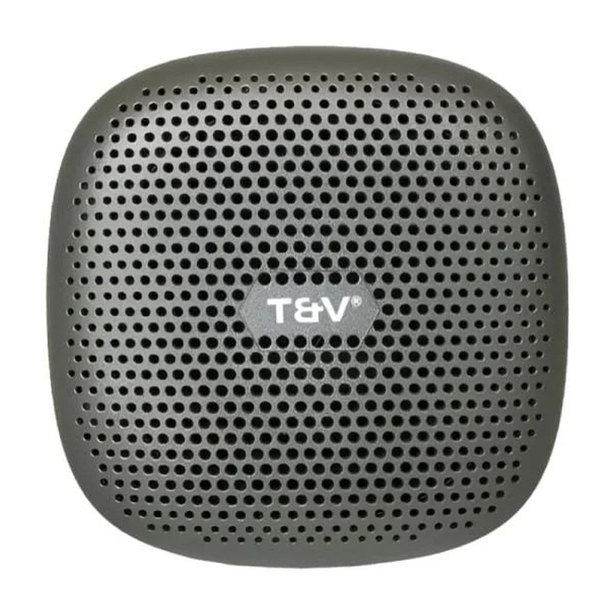 PARLANTE THONET & VANDER DUETT TWS 10W RMS – RADIO FM – GRIS