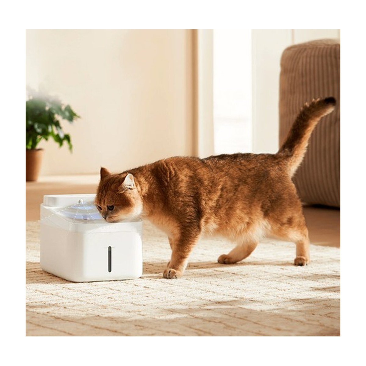 Xiaomi Smart Pet Fountain 2 – White – BHR9485GL