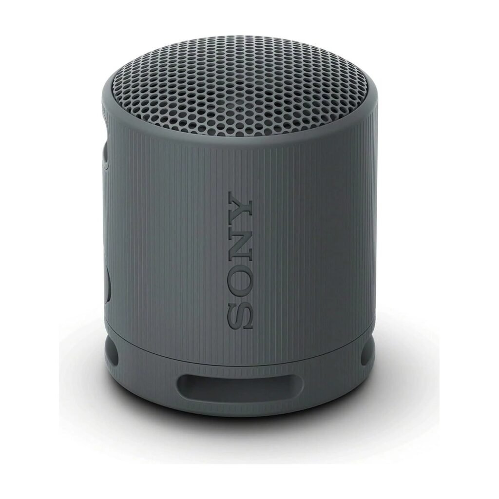 SONY SRS-XB100