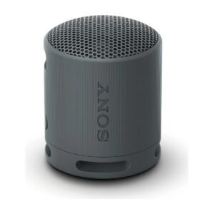 SONY SRS-XB100