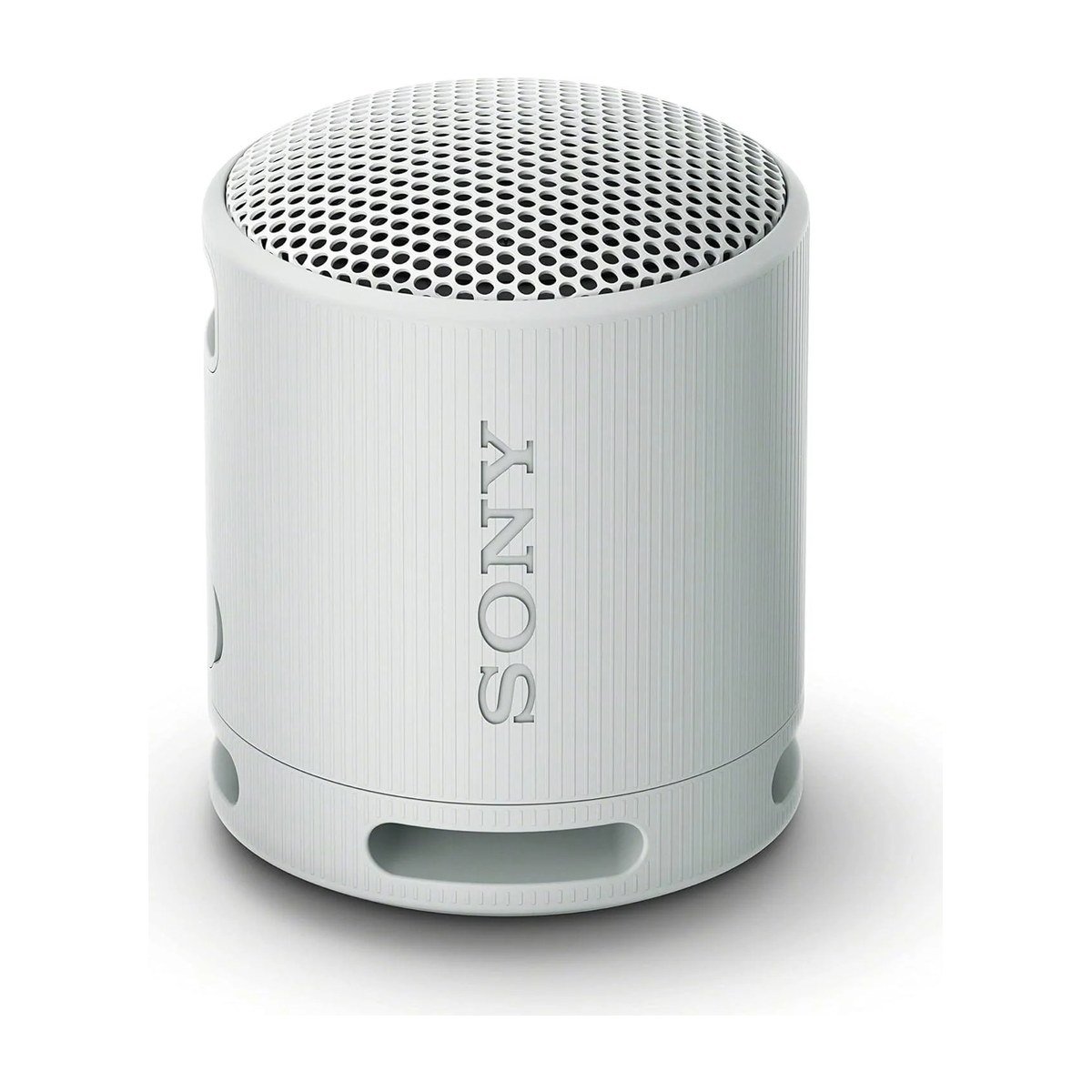 SONY SRS-XB100