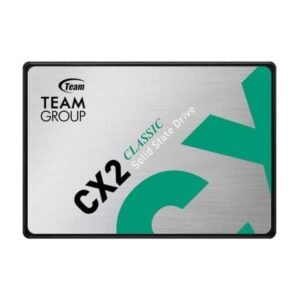 Teamgroup CX2 256 GB