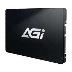 AGI AI238 256GB