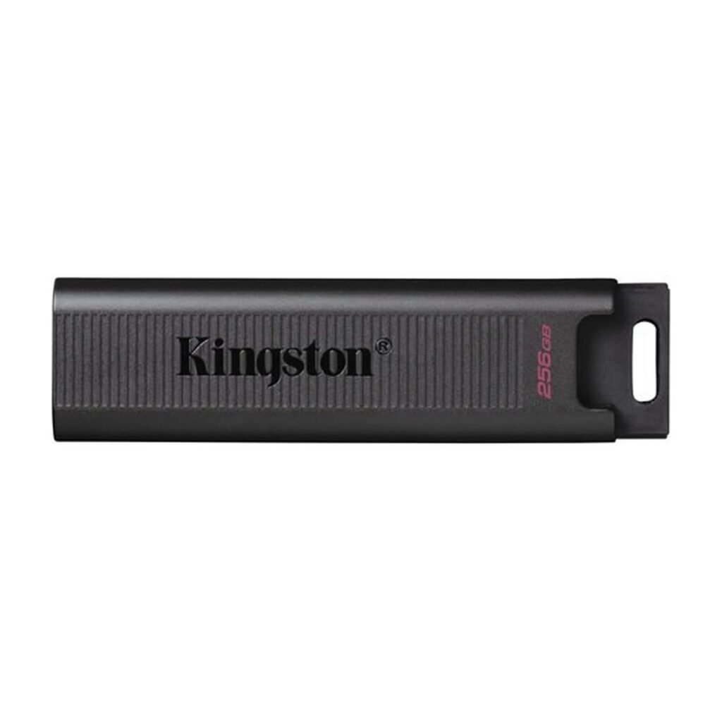 Kingston DataTraveler Max 256 GB