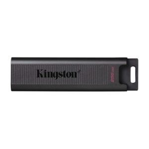 Kingston DataTraveler Max 256 GB