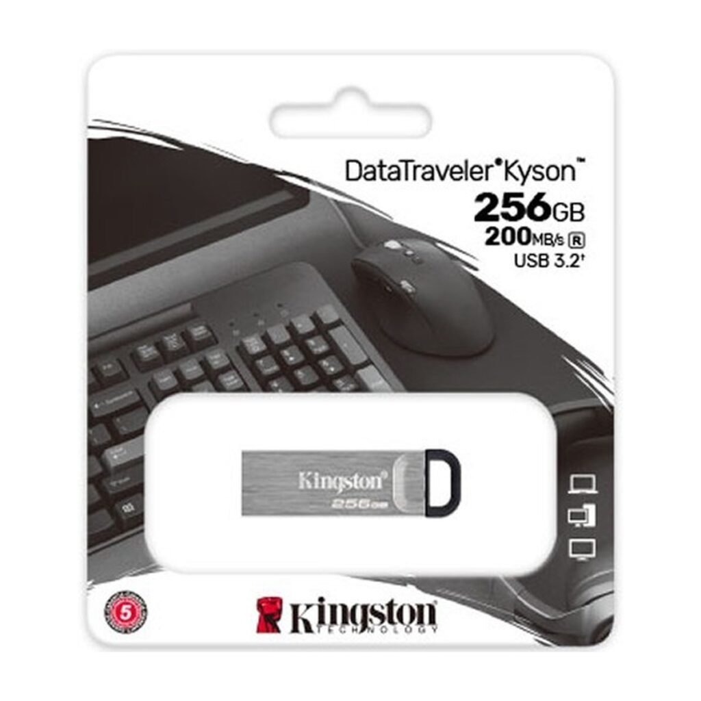 Kingston DataTraveler Kyson 256 GB