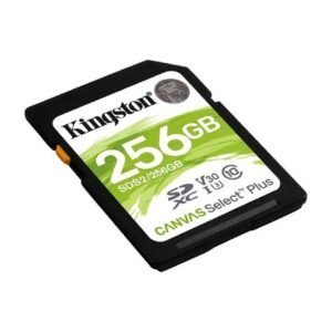 SD Kingston Canvas select Plus 256GB
