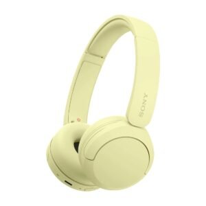 SONY WH-CH520