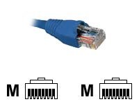 CABLE DE RED NEXXT AB360NXT24 – CAT 5E UTP – RJ-45 – 3 M – AZUL
