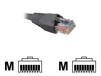 CABLE DE RED NEXXT AB360NXT45 – CAT 5E UTP – RJ-45 – 7.6 M – GRIS
