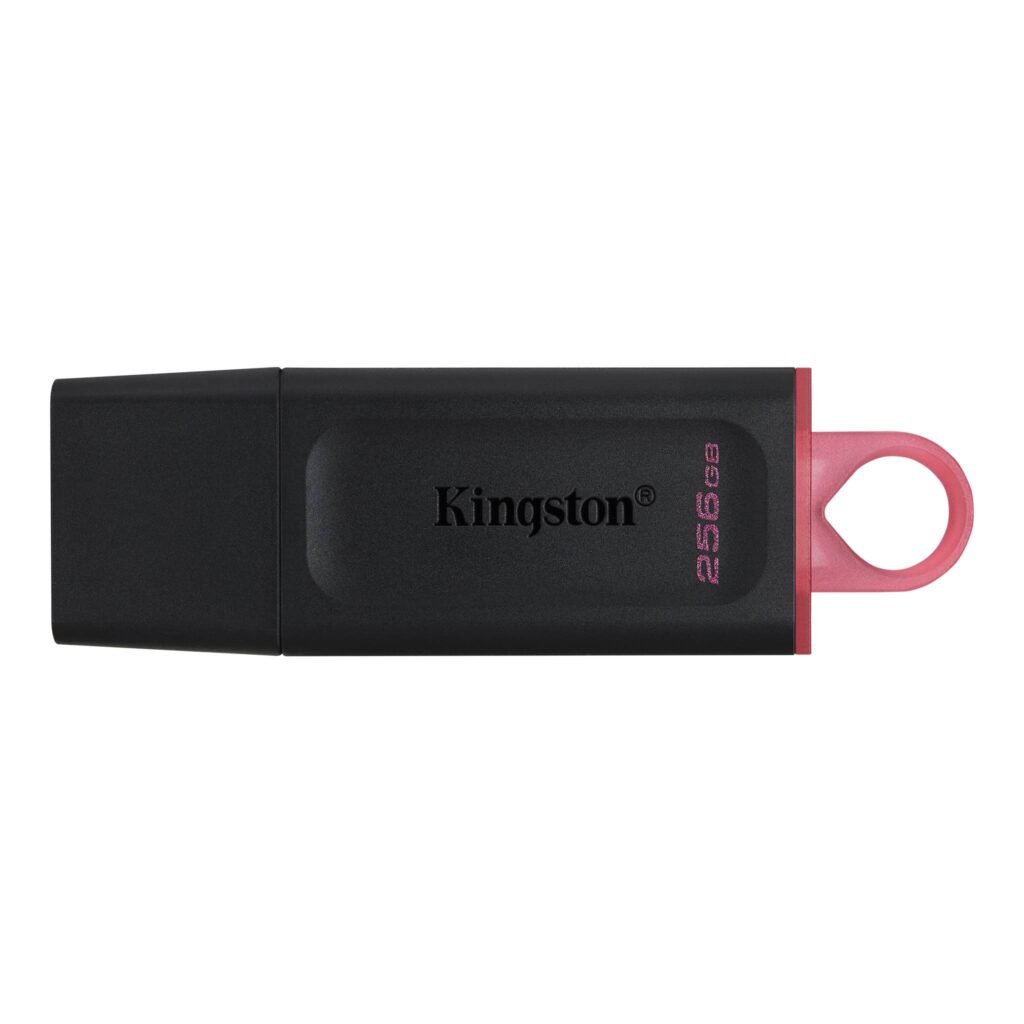 MEMORIA USB KINGSTON DATATRAVELER EXODIA – 256GB – USB 3.2 GEN 1 – NEGRO Y ROSA