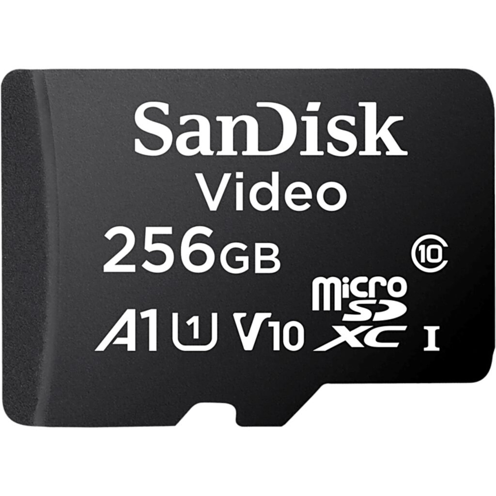 TARJETA MICROSD SANDISK QD131 256GB – UHS-I