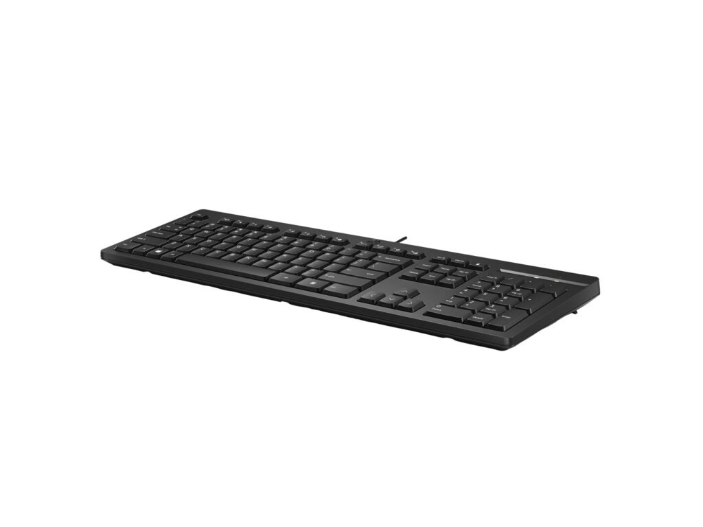 TECLADO HP 125 – USB – CABLE DE 1.8 M